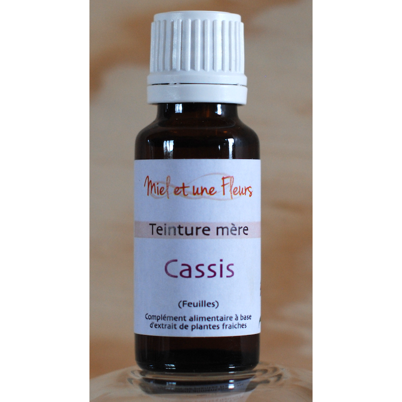 Alcoolature de Cassis (Teinture-mère)