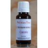 Alcoolature de Cassis (Teinture-mère)