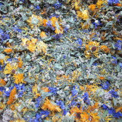 Mélange en vrac des plantes composant la tisane Vif matin