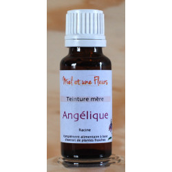 Alcoolature d'Angélique (Teinture-mère)